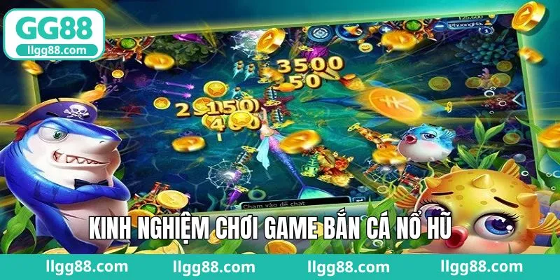 Bí quyết săn cá thắng đậm chuẩn cao thủ
