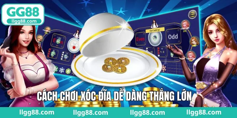 Hướng dẫn cách chơi xóc đĩa nâng cao để dễ dàng chiến thắng