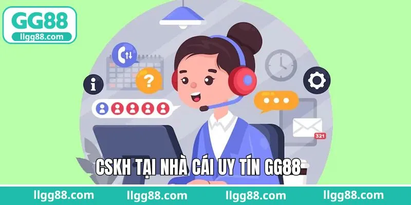 Dịch vụ tư vấn trên trang cược tận tâm