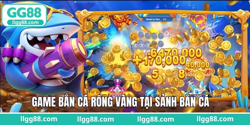 Rồng vàng - Phù hợp người chơi thích săn boss liên tục