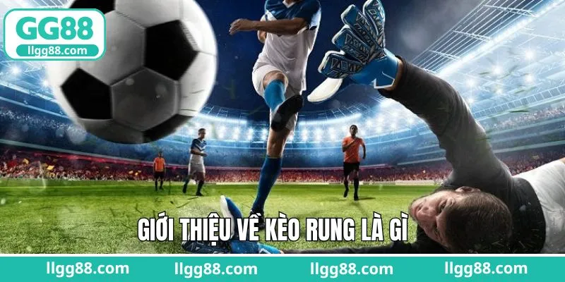 Giới thiệu đôi nét tổng quan về kèo rung