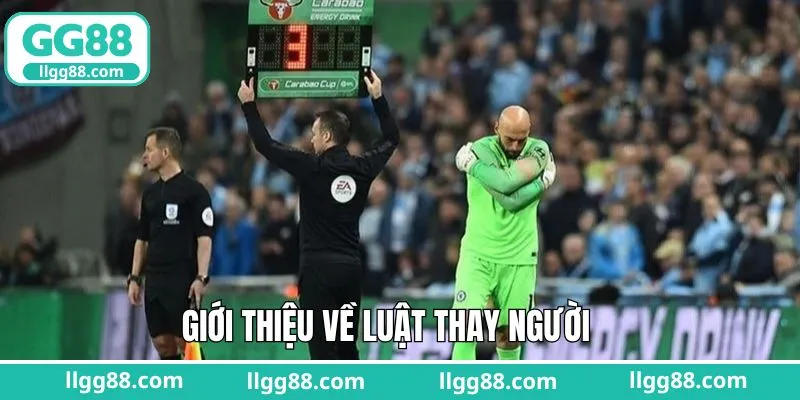 Trình bày khái quát quy định thay người