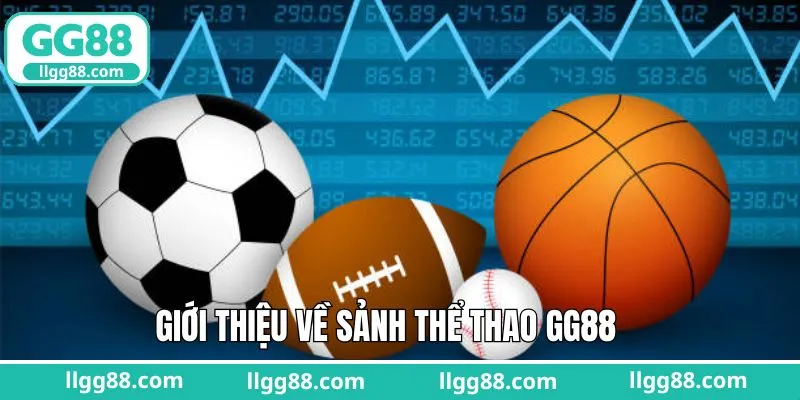 Khái quát thông tin cơ bản về sảnh cược thể thao