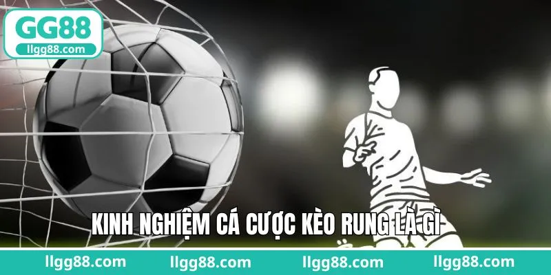 Tìm hiểu các chiến thuật hiệu quả khi cược kèo rung là gì