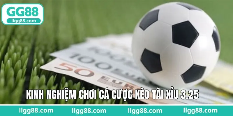 Bí quyết chọn kèo tài xỉu 3 trái rưỡi dễ thắng lớn