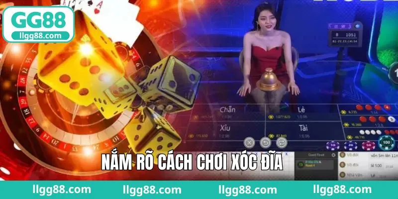 Tìm hiểu tất tần tật về luật chơi xóc đĩa