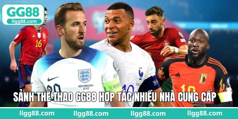 Sảnh cược hợp tác với nhà phát hành top đầu