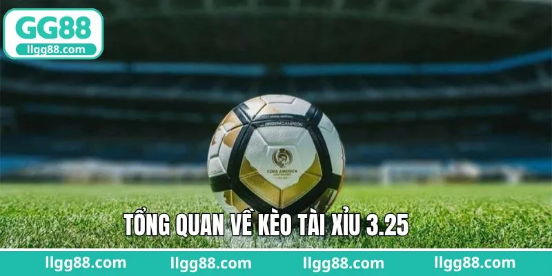 Tổng quan về hình thức đặt cược tài xỉu nổi bật