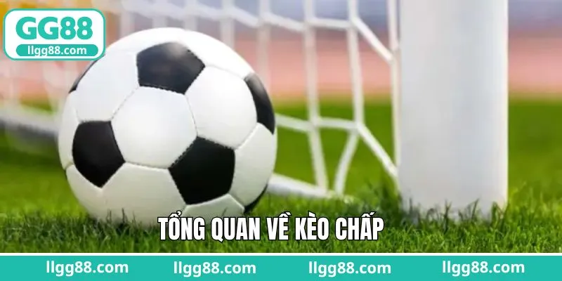 Đôi nét về loại hình cược chấp thú vị